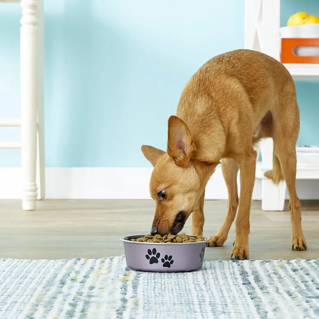 Loving Pets Metallic Grape Non-Skid Stainless Steel Pet Bowl
